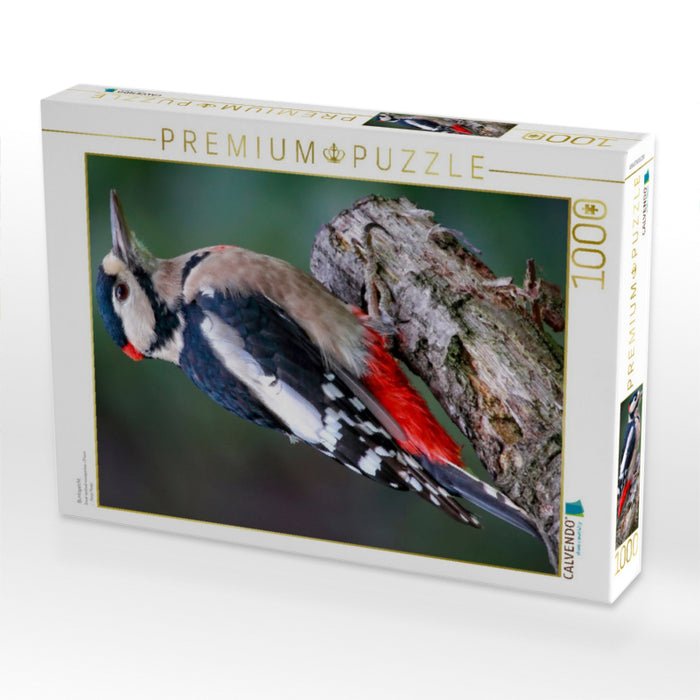 Pic épeiche - Puzzle photo CALVENDO 