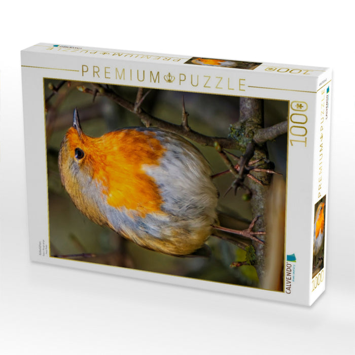 Robin - CALVENDO photo puzzle 