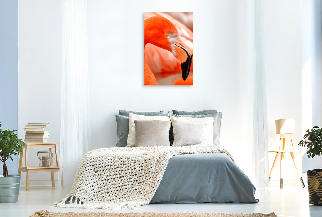 Premium Textil-Leinwand Premium Textil-Leinwand 60 cm x 90 cm hoch Flamingo