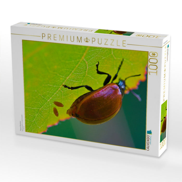 Pappel-Blattkäfer - CALVENDO Foto-Puzzle'