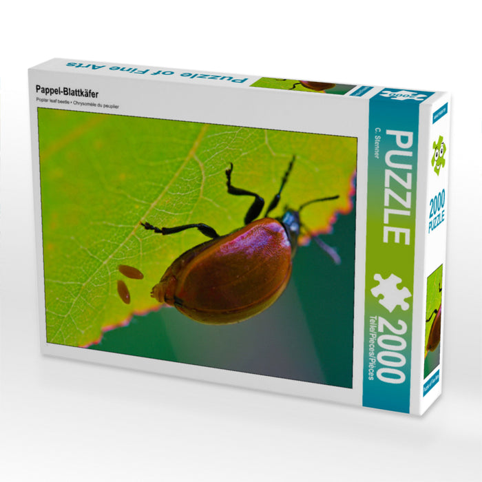 Pappel-Blattkäfer 2000 Teile Puzzle quer - CALVENDO Foto-Puzzle'