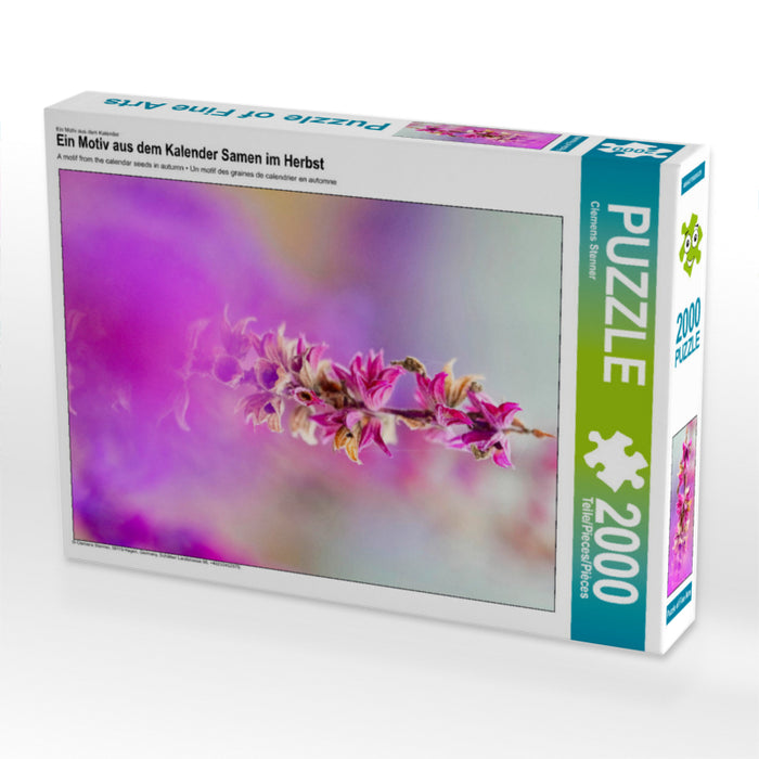 Graines d'automne - Puzzle photo CALVENDO 