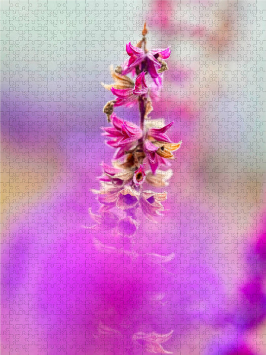 Graines d'automne - Puzzle photo CALVENDO 