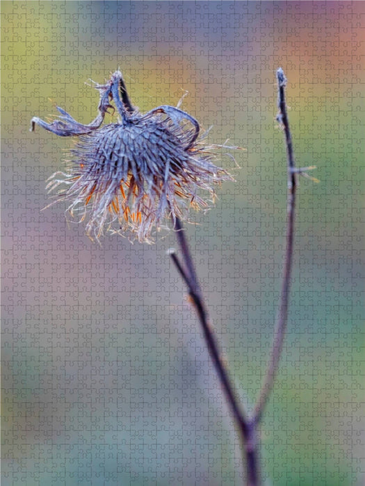 Ein Motiv aus dem Kalender Wildsaatplaner 2000 Teile Puzzle hoch - CALVENDO Foto-Puzzle'