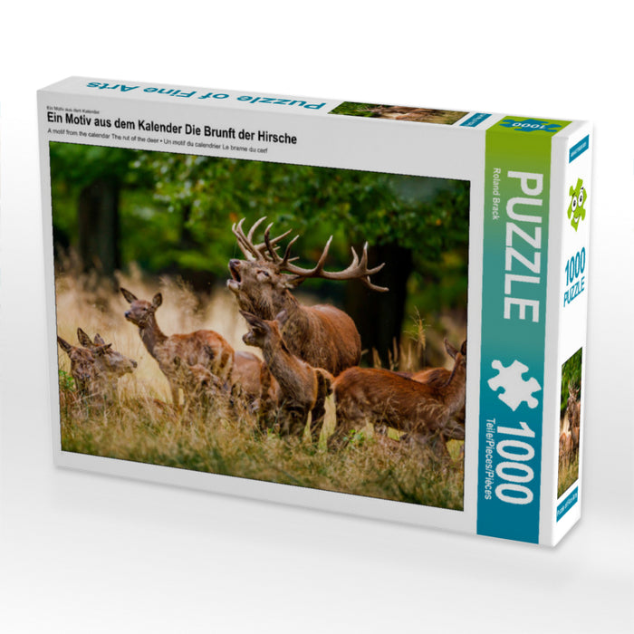 The rutting of the deer - CALVENDO photo puzzle 
