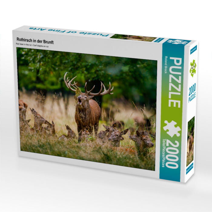 Rothirsch in der Brunft 2000 Teile Puzzle quer - CALVENDO Foto-Puzzle'