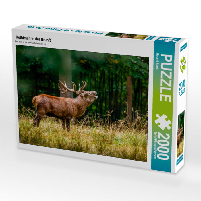 Rothirsch in der Brunft 2000 Teile Puzzle quer - CALVENDO Foto-Puzzle'