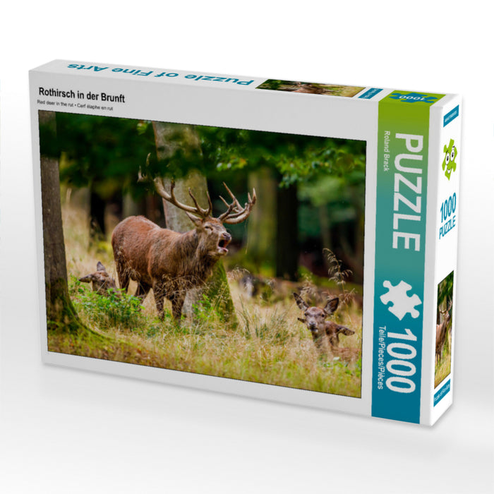 Rothirsch in der Brunft 2000 Teile Puzzle quer - CALVENDO Foto-Puzzle'
