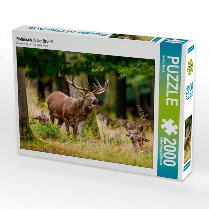 Rothirsch in der Brunft 2000 Teile Puzzle quer - CALVENDO Foto-Puzzle'