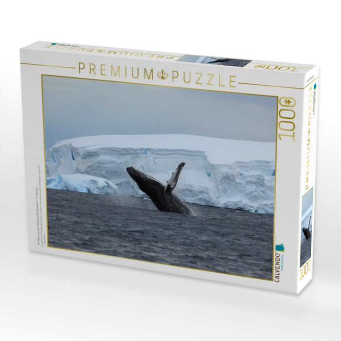 Ein Motiv aus dem Kalender Die Antarktis / CH-Version - CALVENDO Foto-Puzzle'