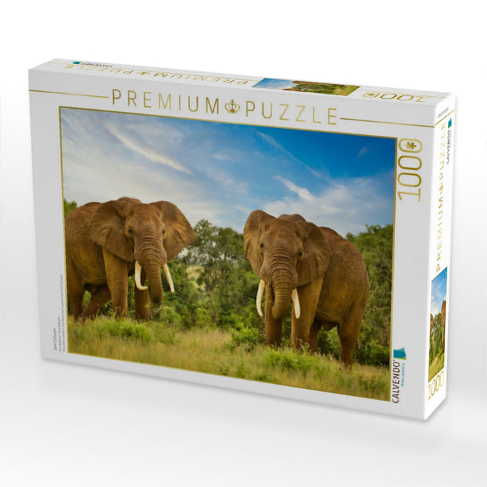 Zwei Elefanten - CALVENDO Foto-Puzzle'