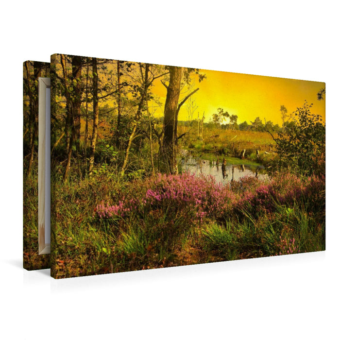 Premium Textil-Leinwand Heidelandschaft Pietzmoor