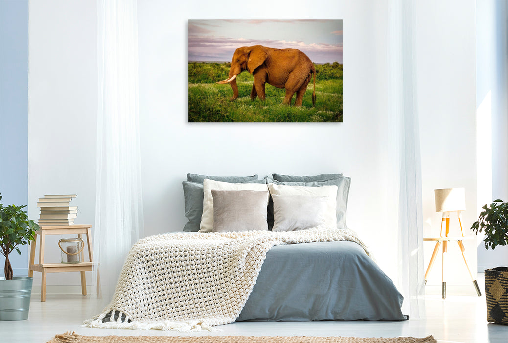 Premium textile canvas Premium textile canvas 120 cm x 80 cm landscape Elephant in the savannah 