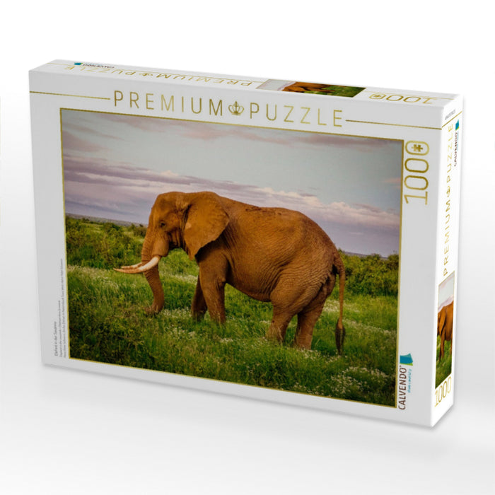 Elefant in der Savanne - CALVENDO Foto-Puzzle'