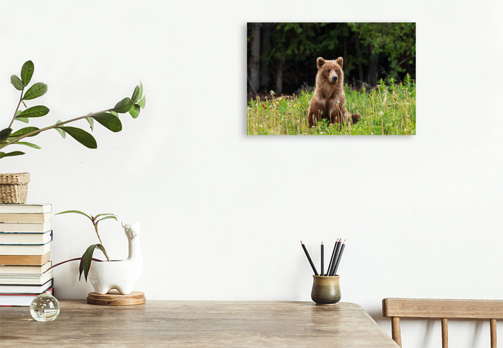 Premium textile canvas Premium textile canvas 90 cm x 60 cm landscape grizzly bear 