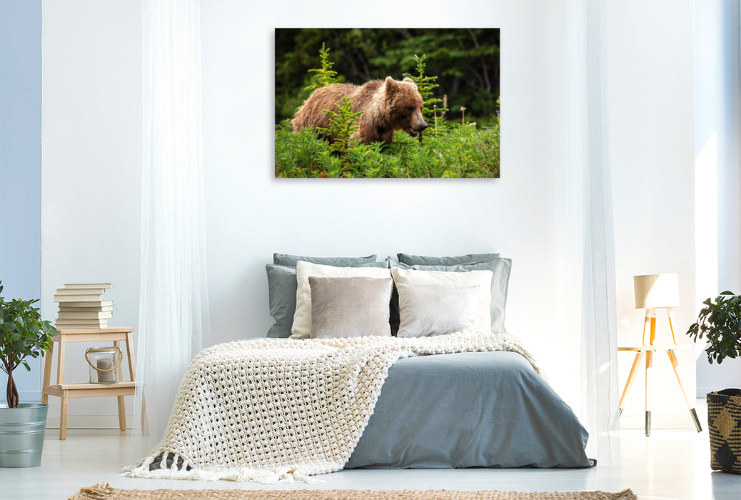 Premium textile canvas Premium textile canvas 120 cm x 80 cm landscape grizzly bear 