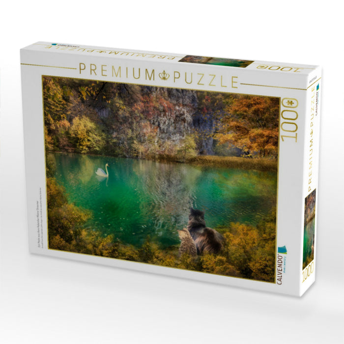 Ein Motiv aus dem Kalender Kleine Streuner - CALVENDO Foto-Puzzle'