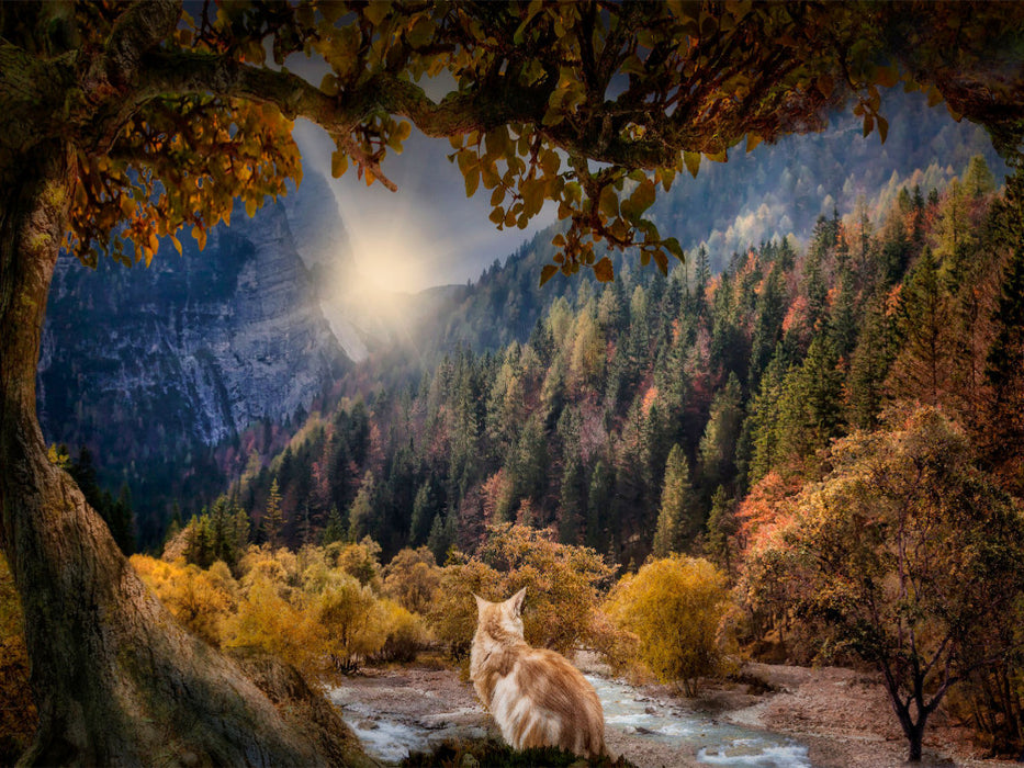 Ein Motiv aus dem Kalender Kleine Streuner - CALVENDO Foto-Puzzle'