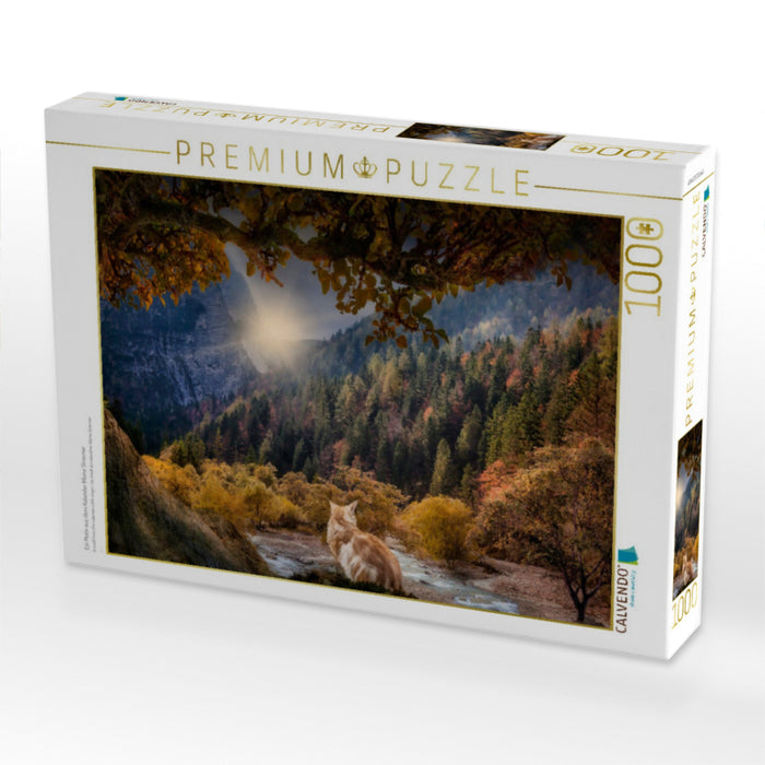 Ein Motiv aus dem Kalender Kleine Streuner - CALVENDO Foto-Puzzle'