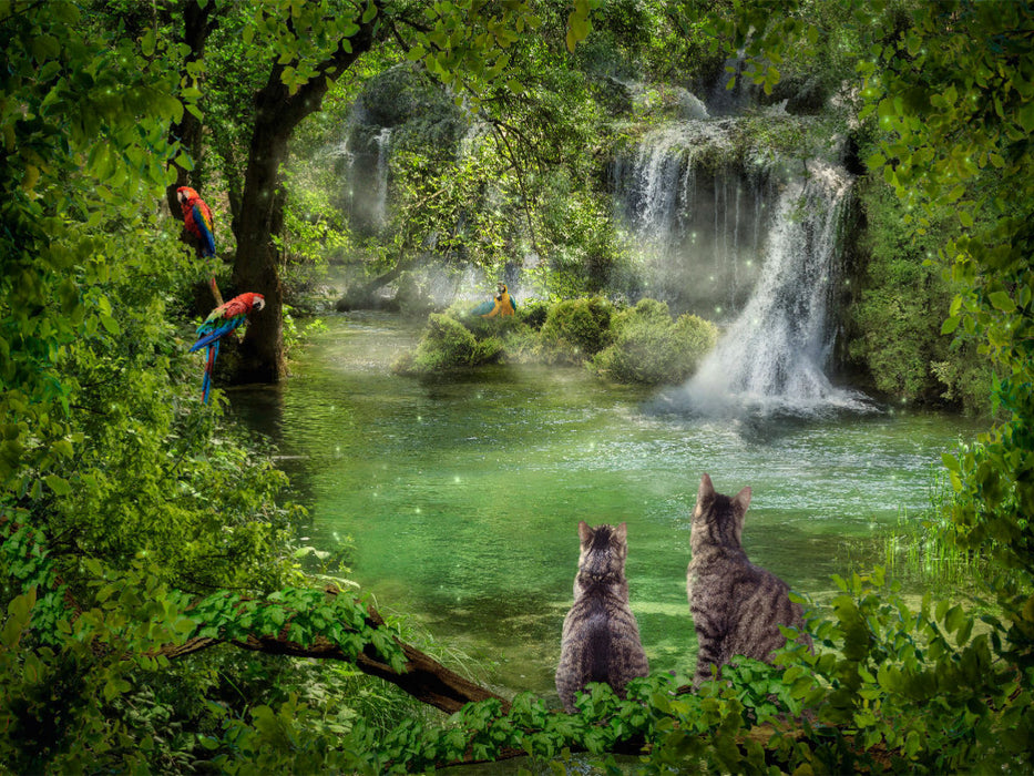 Ein Motiv aus dem Kalender Kleine Streuner - CALVENDO Foto-Puzzle'