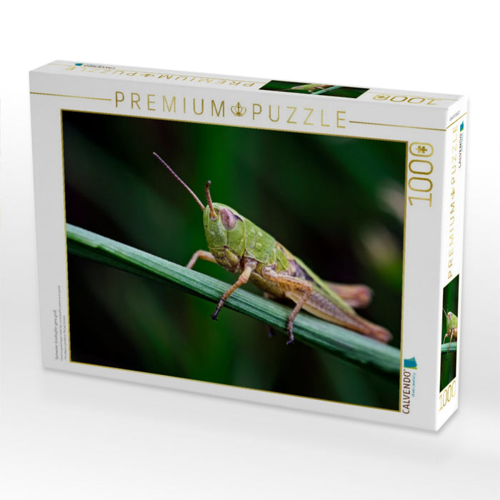 Gemeiner Grashüpfer ganz groß - CALVENDO Foto-Puzzle'