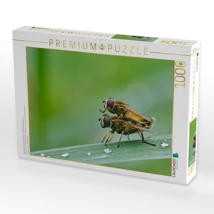 Gemeine Sumpfschwebfliegen ( Helophilus pendulus ) - CALVENDO Foto-Puzzle'