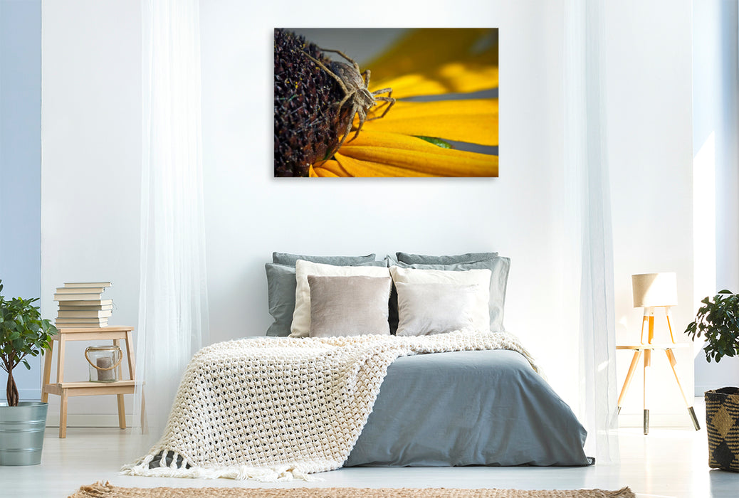 Premium textile canvas Premium textile canvas 120 cm x 80 cm landscape cunning spider 