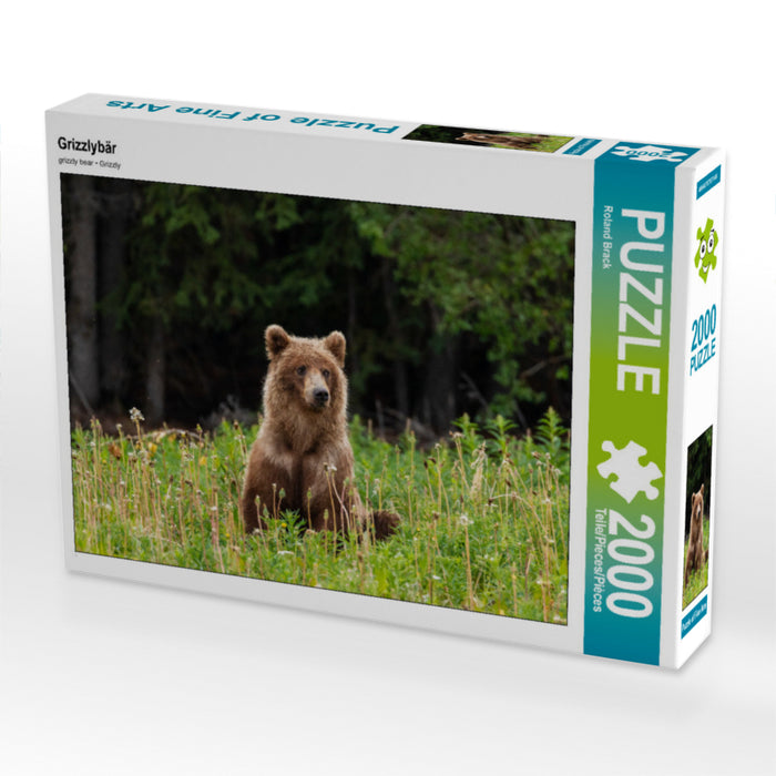 Grizzlybär 2000 Teile Puzzle quer - CALVENDO Foto-Puzzle'