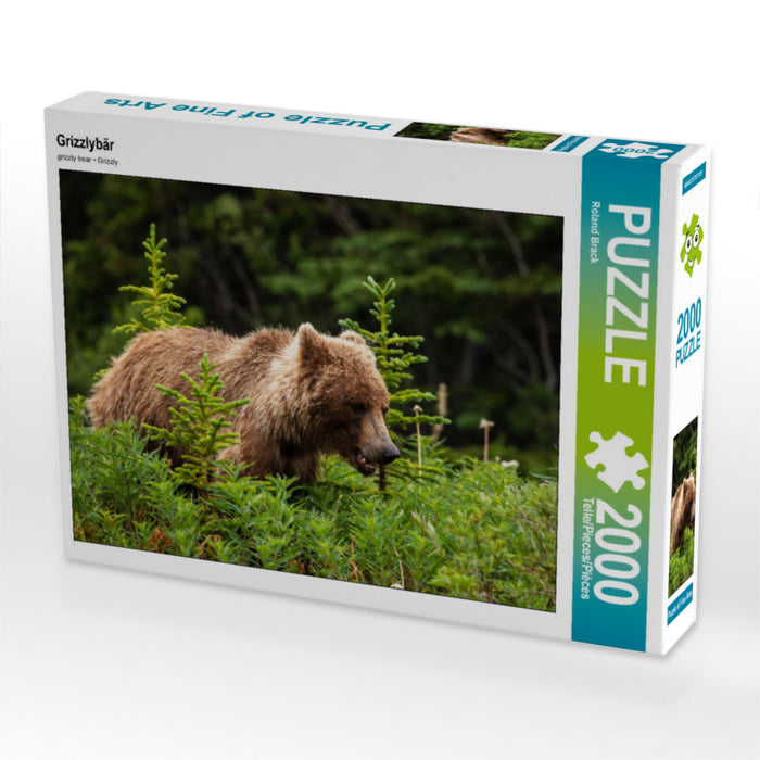 Grizzlybär 2000 Teile Puzzle quer - CALVENDO Foto-Puzzle'