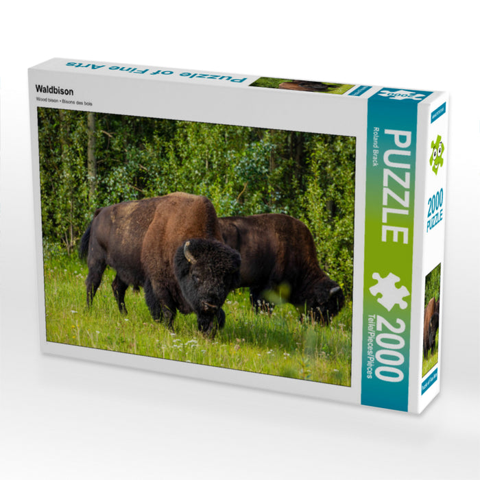 Wood bison - CALVENDO photo puzzle 