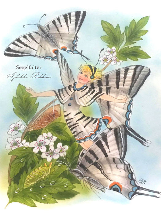 Iphiclides Podalirius – sail butterfly - CALVENDO photo puzzle 