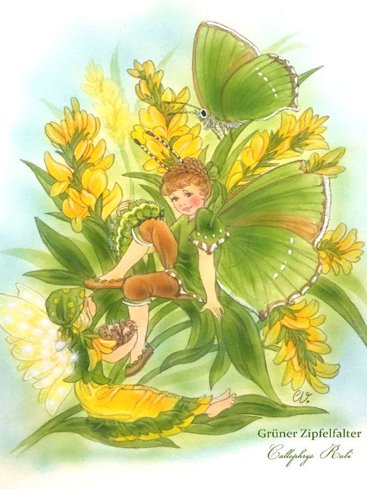 Callophrys Rubi – Grüner Zipfelfalter 1000 Teile Puzzle hoch - CALVENDO Foto-Puzzle'