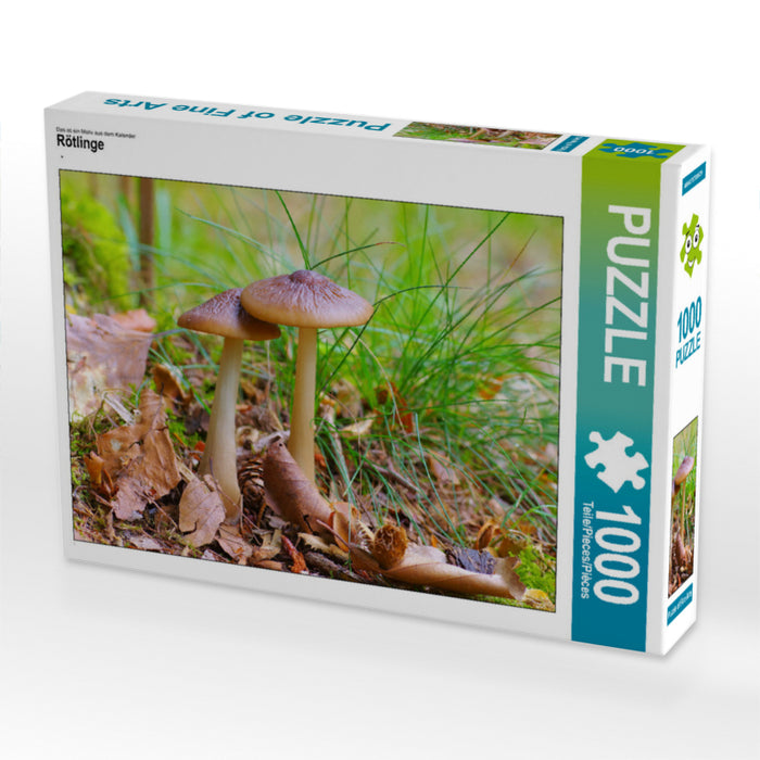Redlings - Puzzle photo CALVENDO 