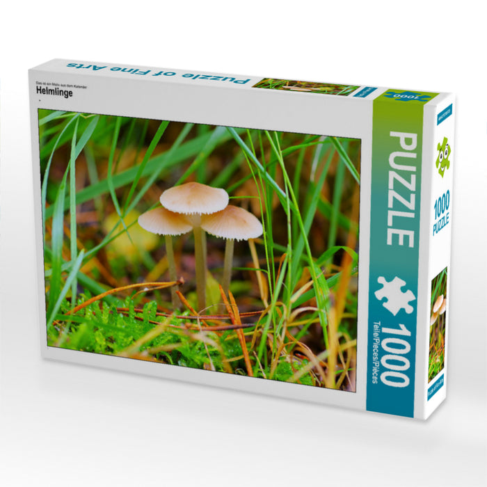 Helmlings - Puzzle photo CALVENDO 