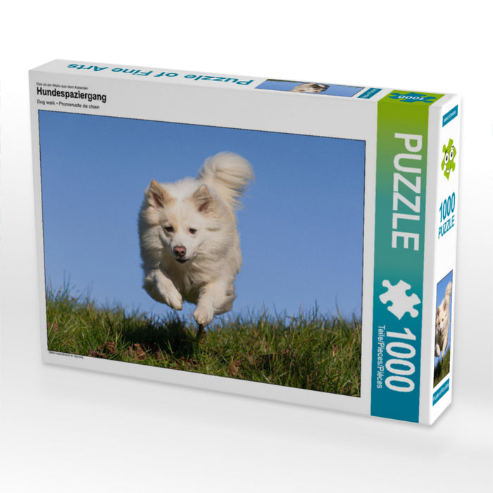 Hundespaziergang 1000 Teile Puzzle quer - CALVENDO Foto-Puzzle'