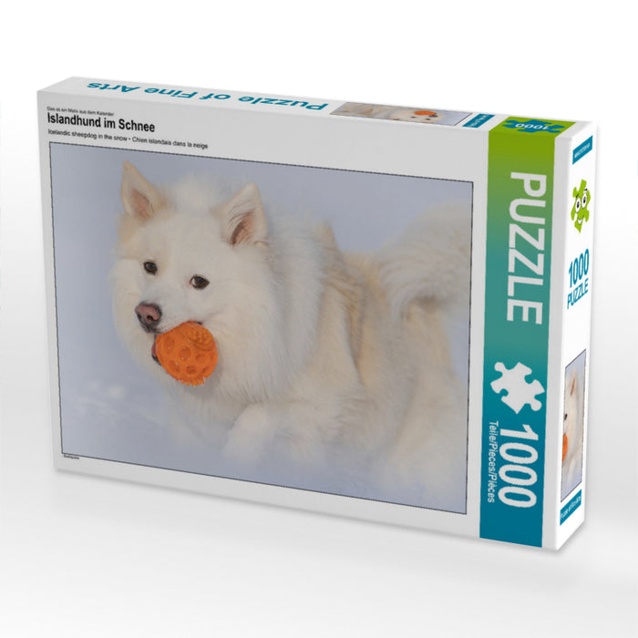 Icelandic dog in the snow - CALVENDO photo puzzle 