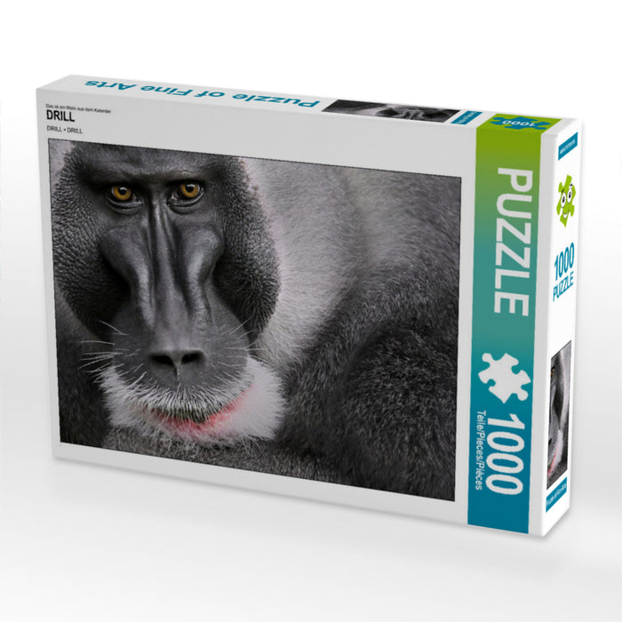 DRILL 1000 Teile Puzzle quer - CALVENDO Foto-Puzzle'
