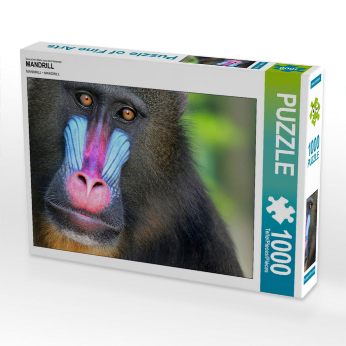 MANDRILL - CALVENDO photo puzzle 