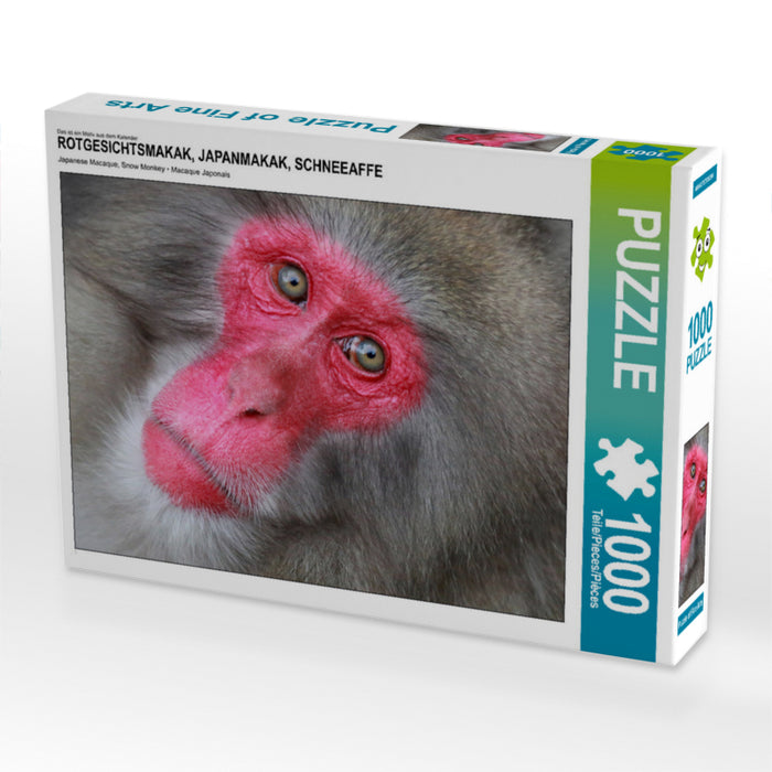 ROTGESICHTSMAKAK, JAPANMAKAK, SCHNEEAFFE 1000 Teile Puzzle quer - CALVENDO Foto-Puzzle'