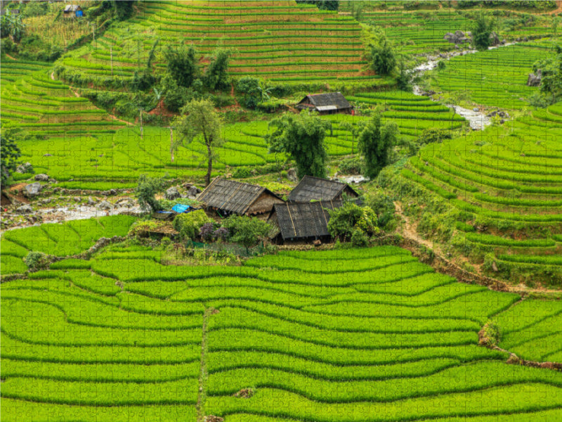 Farm in rice fields - CALVENDO photo puzzle 