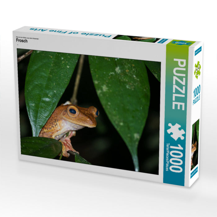 Frosch 1000 Teile Puzzle quer - CALVENDO Foto-Puzzle'