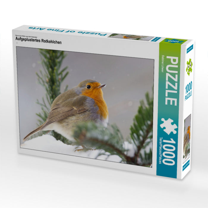 Aufgeplustertes Rotkehlchen 1000 Teile Puzzle quer - CALVENDO Foto-Puzzle'