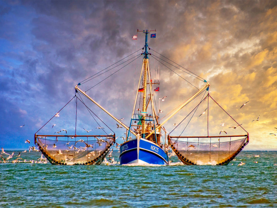 Ostfriesland - CALVENDO Foto-Puzzle'