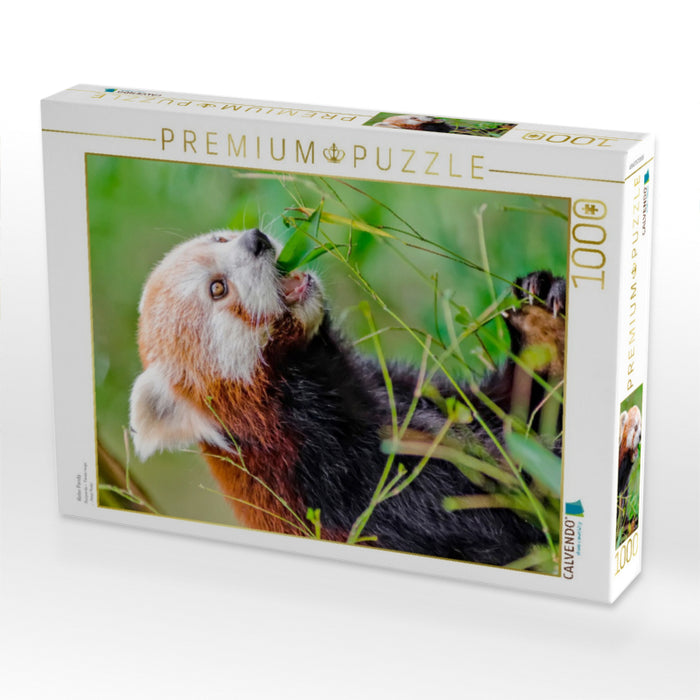 Roter Panda - CALVENDO Foto-Puzzle'