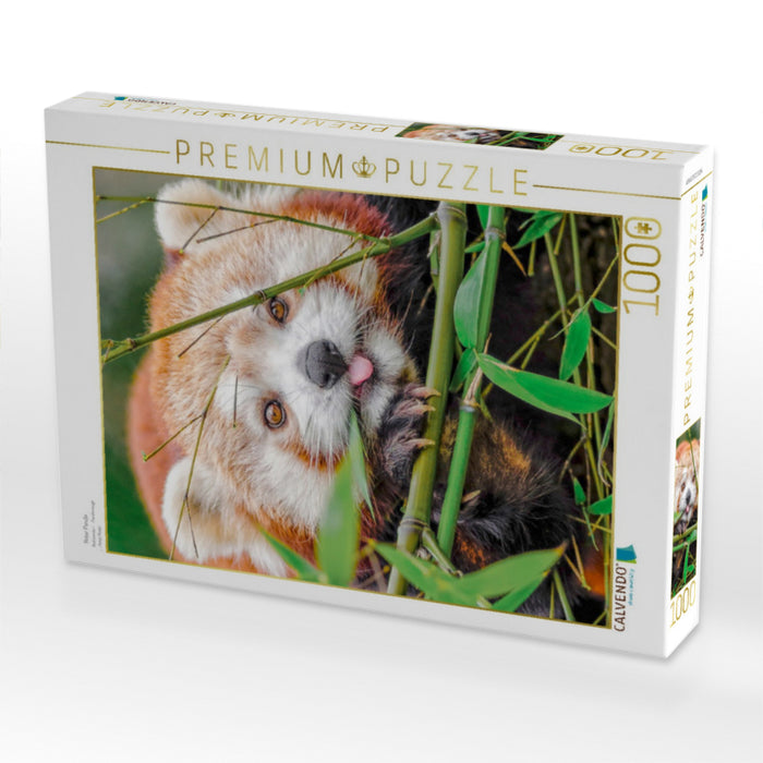 Roter Panda - CALVENDO Foto-Puzzle'