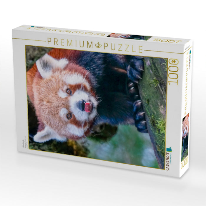 Roter Panda - CALVENDO Foto-Puzzle'