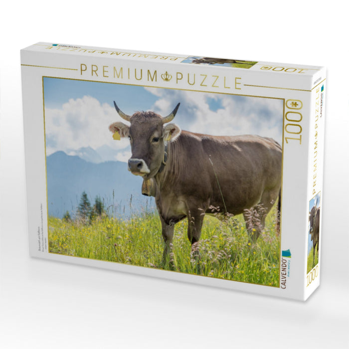 Braunvieh am Fellhorn - CALVENDO Foto-Puzzle'