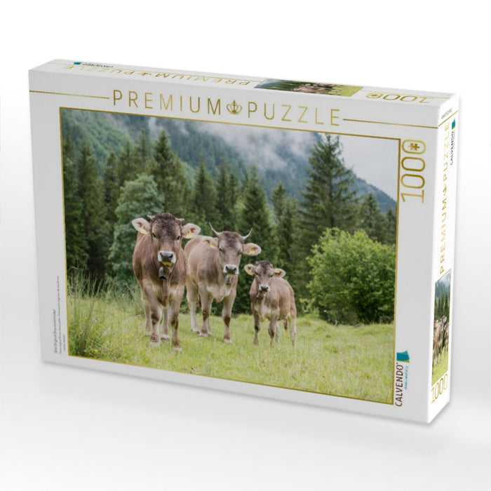 Drei Original Braunviehrinder - CALVENDO Foto-Puzzle'