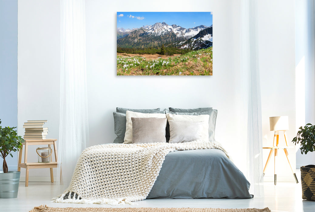 Premium textile canvas Premium textile canvas 120 cm x 80 cm landscape Crocus meadow at Fellhorn 