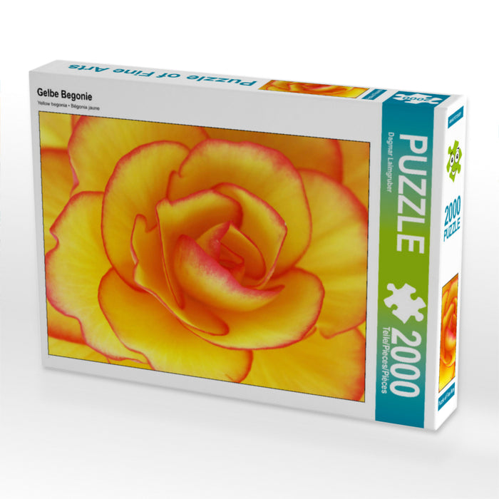 Gelbe Begonie 2000 Teile Puzzle quer - CALVENDO Foto-Puzzle'
